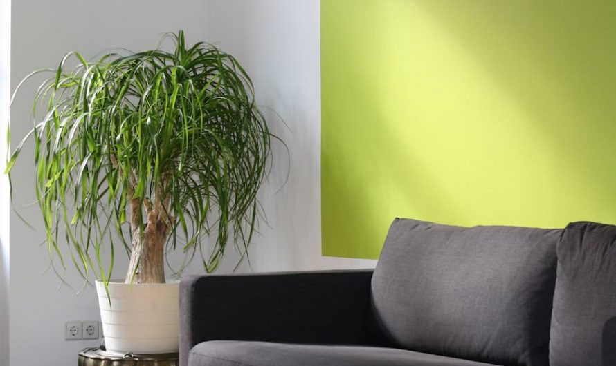 Принцип работы сплит системы в режиме обогрева